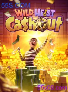 WildHeistCashout